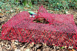 le chausse-trappe