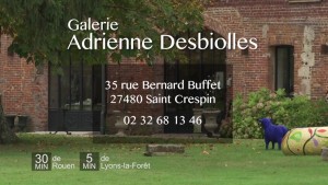 Spot_Galerie_Adrienne_Desbioles-H264LCN_2015